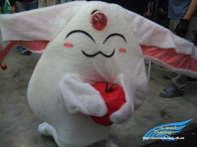 [Imagen: BCN05-05-mokona=soel=modoki.jpg]